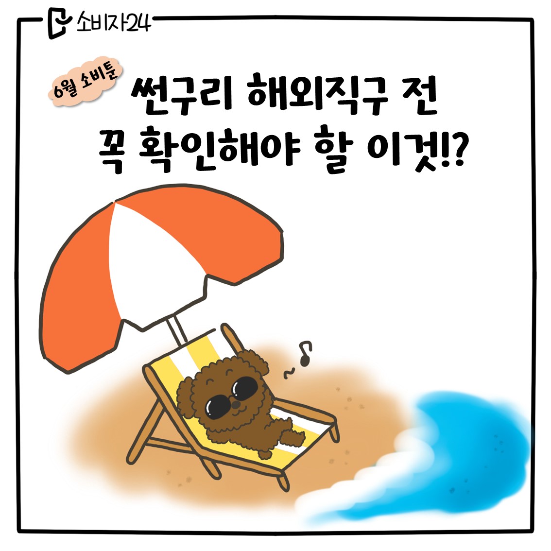 6월 소비툰, 썬구리 해외직구 전 꼭 확인해야 할 이것?