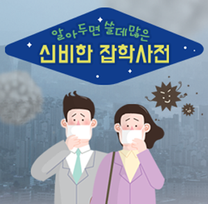 알쓸신잡 미세먼지는 무엇인가요?