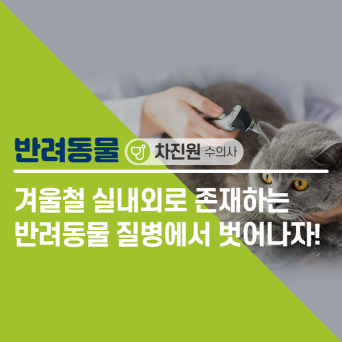 실내·외로 존재하는 겨울철 반려동물 질병으로부터 벗어나자!