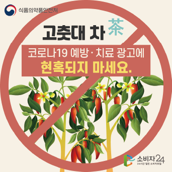 고춧대 차(茶), 코로나19 예방.치료 광고에 현혹되지 마세요