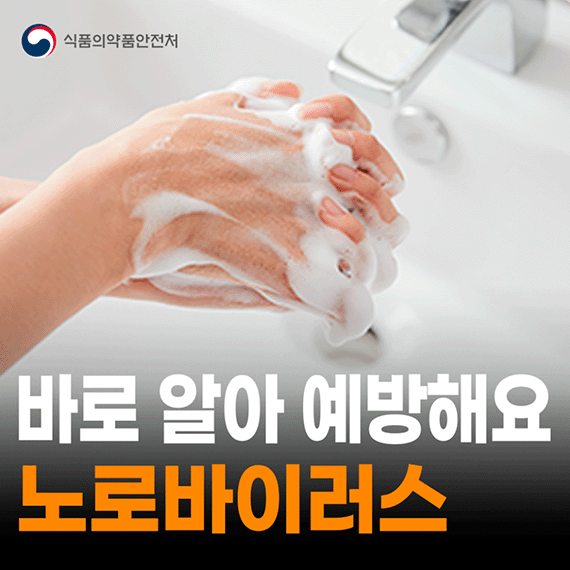 노로바이러스 식중독 바로 알아 예방해요