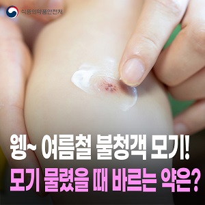 모기 물렸을때, 무엇을 발라야 할까? 