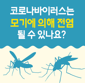 [팩트체크] 코로나바이러스는 모기에 의해 전염될 수 있나요?