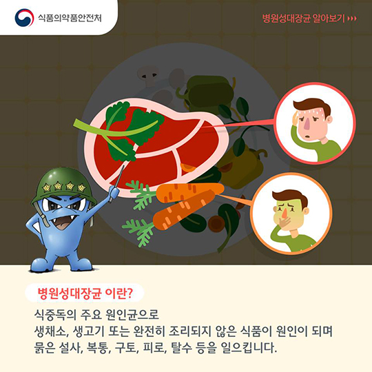 병원성대장균이란? 식중독의 주요 원인균으로 생채소, 생고기 또는 완전히 조리되지 않은 식품이 원인이 되며 묽은 설사, 복통, 구토, 피로, 탈수 등을 일으킵니다.