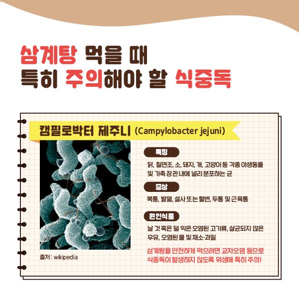 삼계탕 먹을 때 특히 주의해야 할 식중독. 캠필로박터 제주니 (Campylobacter jejuni) 특징 닭, 칠면조, 소, 돼지, 개, 고양이 등 각종 야생동물 및 가축 장관 내에 널리 분포하는 균. 증상 복통, 발열, 설사 또는 혈변, 두통 및 근육통. 원인식품 날 것 혹은 덜 익은 오염된 고기류, 살균되지 않은 우유, 오염된 물 및 채소·과일. 삼계탕을 안전하게 먹으려면 교차오염 등으로 식중독이 발생하지 않도록 위생에 특히 주의! 