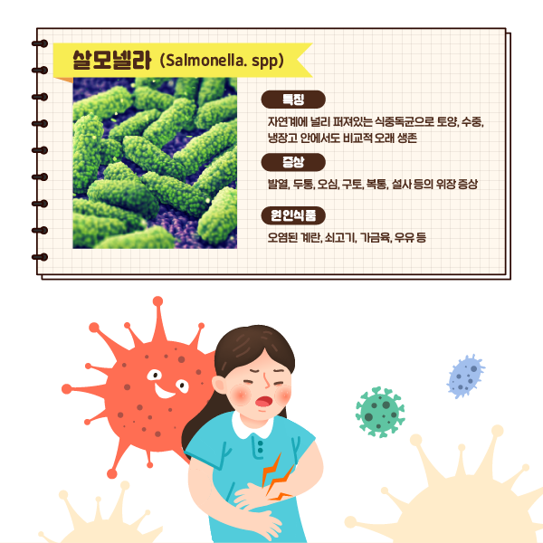 살모넬라 (Salmonella. spp) 특징 자연계에 널리 퍼져있는 식중독균으로 토양, 수중, 냉장고 안에서도 비교적 오래 생존. 증상 발열, 두통, 오심, 구토, 복통, 설사 등의 위장 증상. 원인식품 오염된 계란, 쇠고기, 가금육, 우유 등