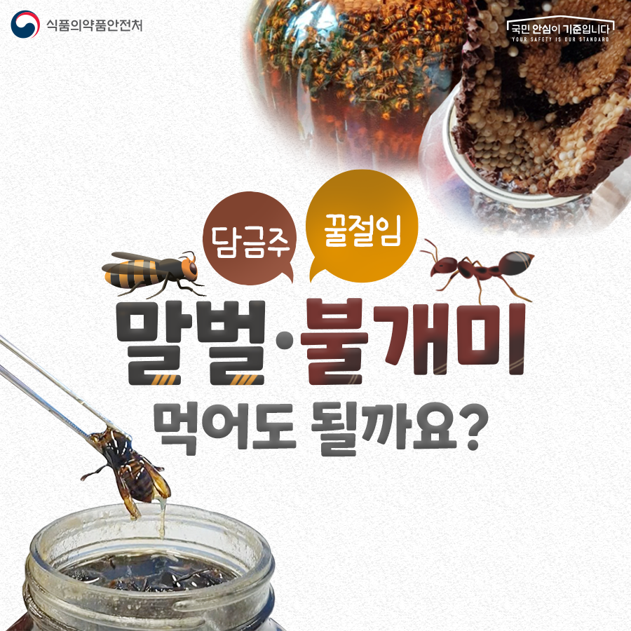 식품의약품안전처 말벌·불개미 담금주 꿀절임 먹어도 될까요?