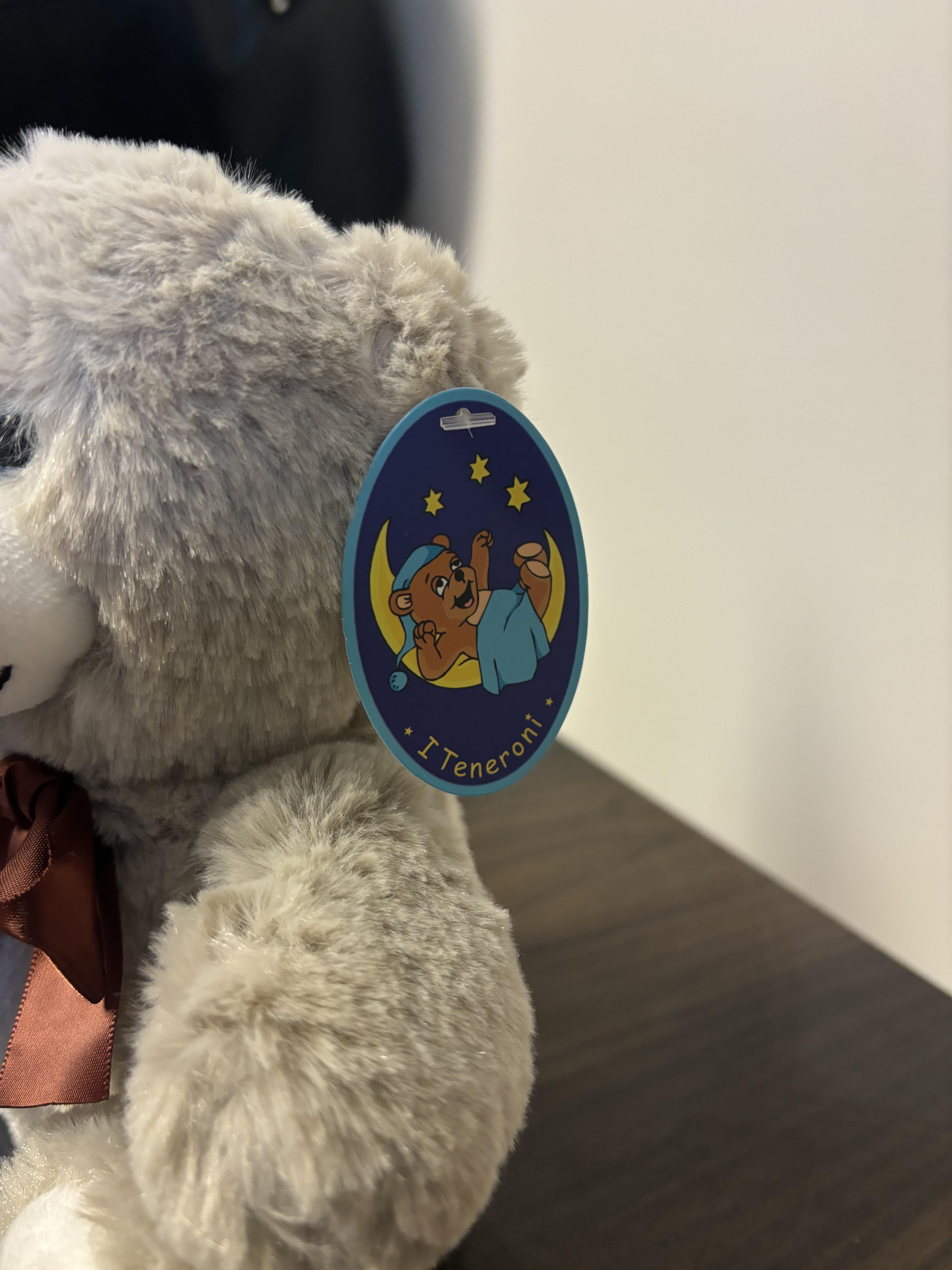 Soft toy ; I teneroni ; Orso peluche 해외리콜정보
