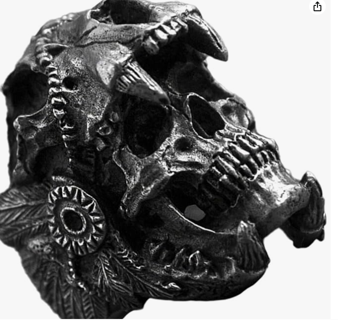 Ring ; ifundom ; Skull ring