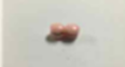 귀걸이 (m&m 귀걸이)