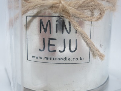 mini jeju 선인장 캔들