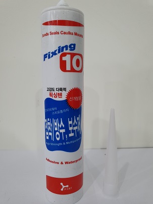 픽싱텐(Fixing10)