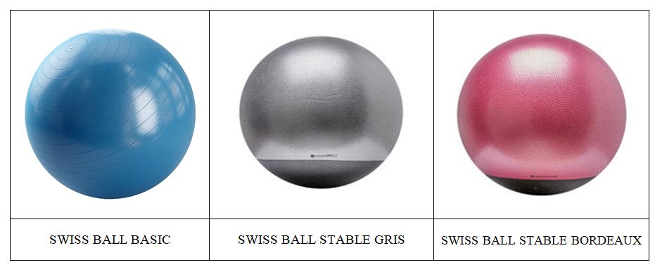 SWISS BALL [SWISS BALL BASIC,SWISS BALL STABLE GRIS,SWISS BALL STABLE BORDEAUX]