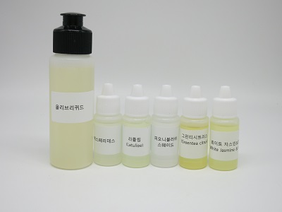 향기로운 석고 타블렛 DIY KIT(헤스페리데스 등)