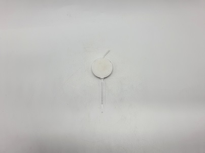 티드 스마일 파티초
